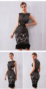 Elegant Feather Lace Dress