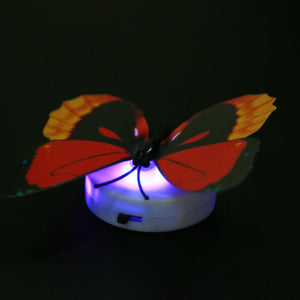 Beautiful Butterfly LED Night Light Lamp